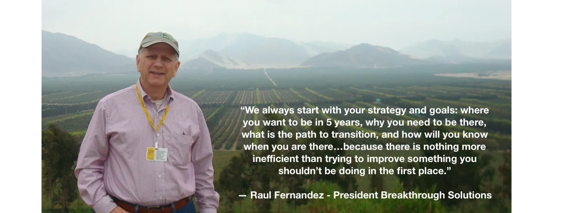 Raul Fernandez quote on business strategy
