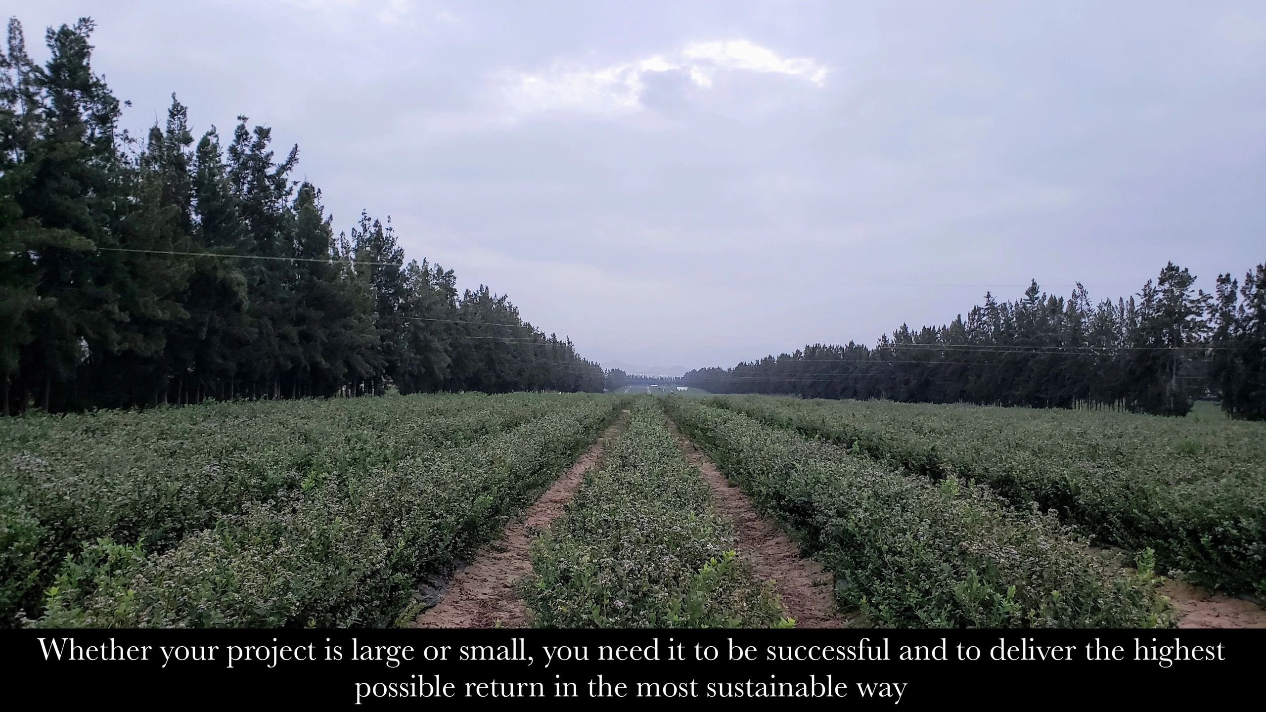 Whether your project is large or small, you need it to be successful